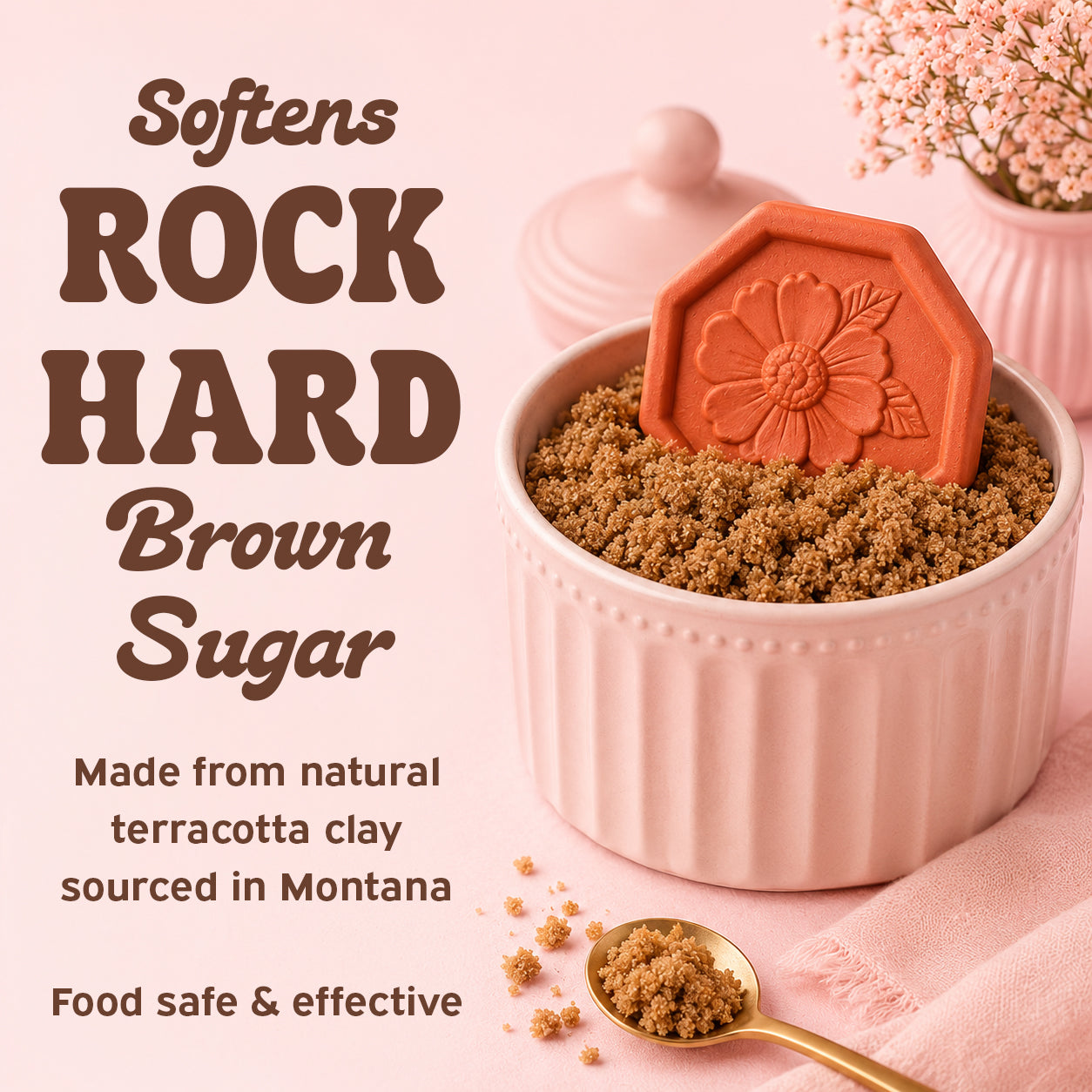 The Brown Sugar Saver